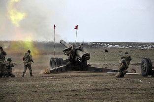 抵抗：他们进行了反击,他们如何抵抗逆境